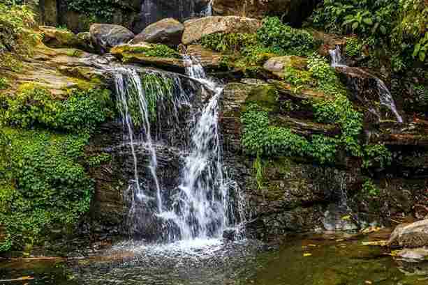 Rock Garden Darjeeling